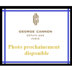 Thé vert Symphonie Pastorale - George Cannon